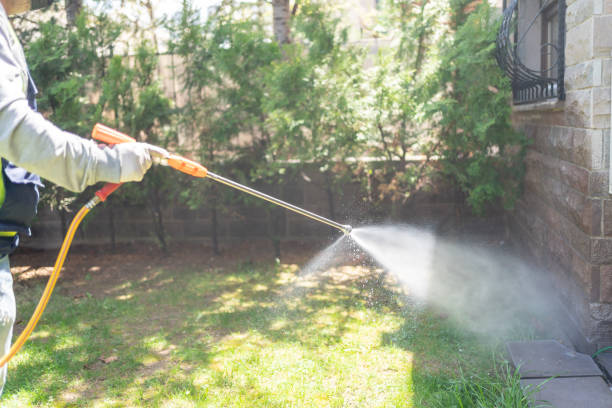 Juarez, TX Pest Control Company