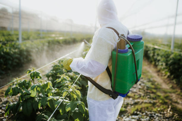 Best Affordable Exterminators  in Juarez, TX